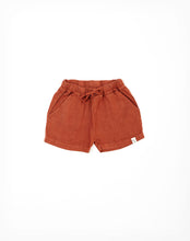 Load image into Gallery viewer, Arkie Shorts